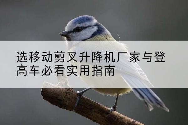 柳北电动升降机厂家-选移动剪叉升降机厂家与登高车必看实用指南