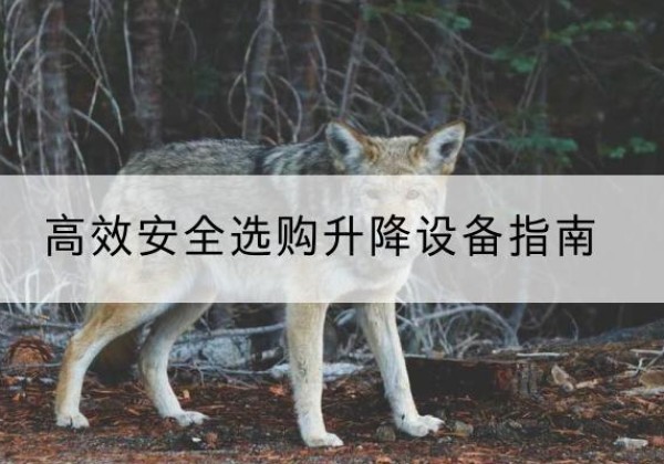 柳北升降货梯厂家推荐-*安全选购升降设备指南