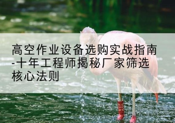柳北剪叉式升降机厂家-高空作业设备选购实战指南-十年工程师揭秘厂家筛选核心法则
